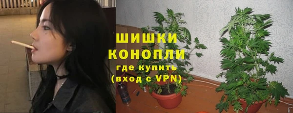 гидра Горно-Алтайск