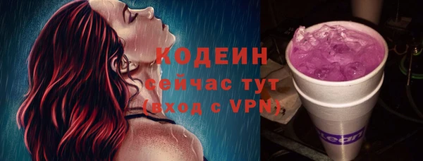 стаф Вязьма
