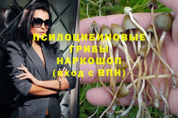 дурь Вязники