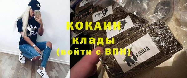 стаф Вязьма